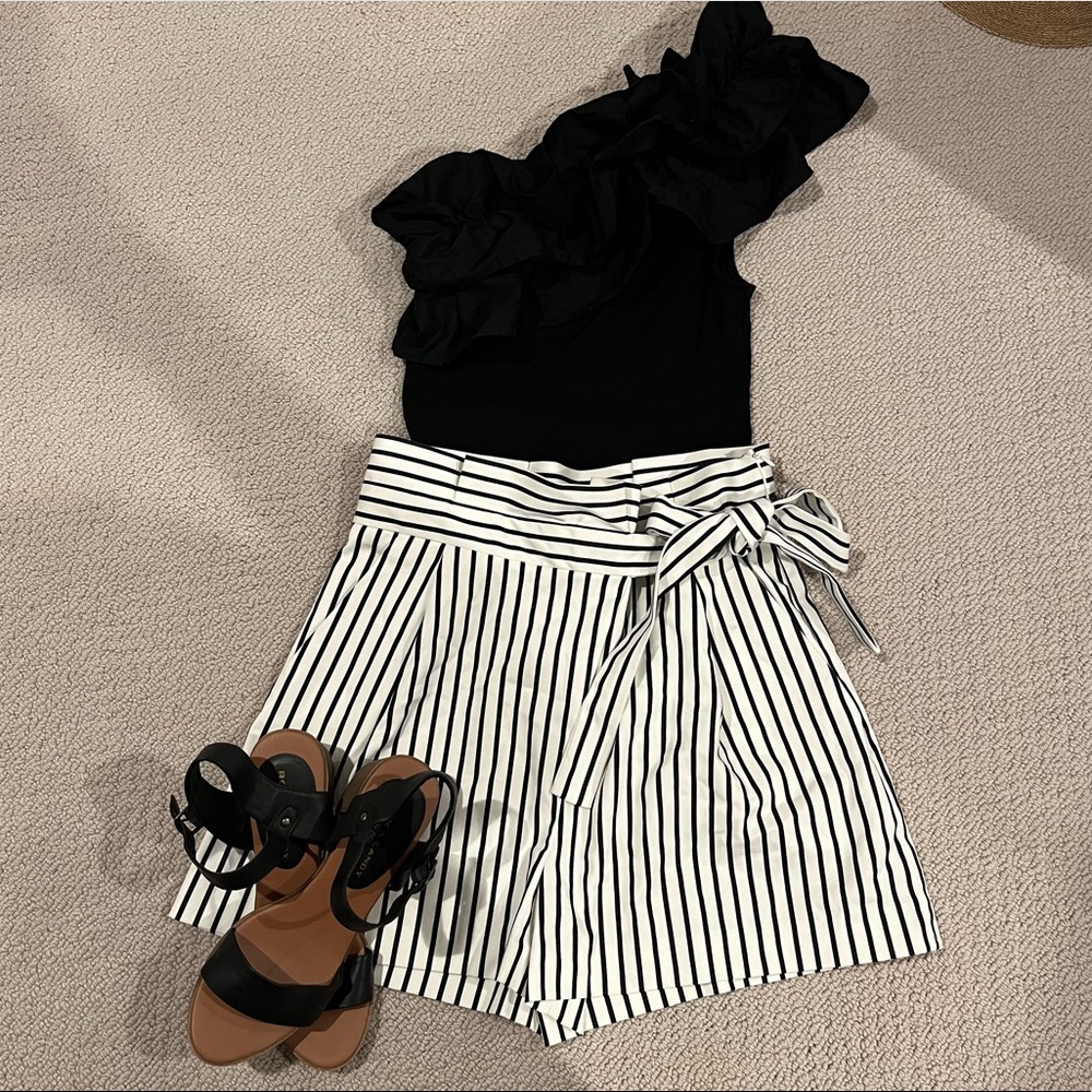 NEW WITH TAGS Zara High Waist Shorts